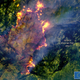 Image for article titled Satellite Image Shows How Shockingly Close the KNP Complex Fire Is to Earth's Biggest Tree